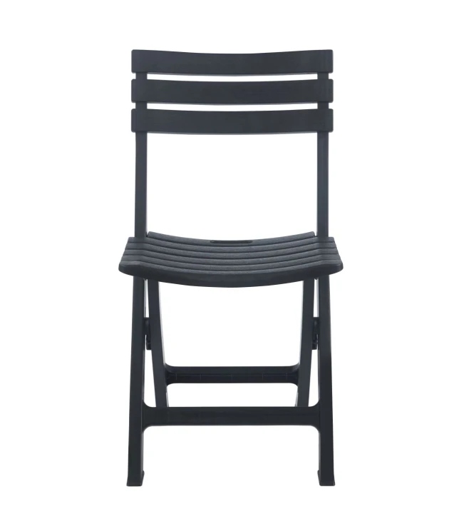 ZS1-FX - 3.jpg