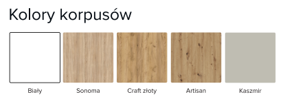 Kolory korpusów.png