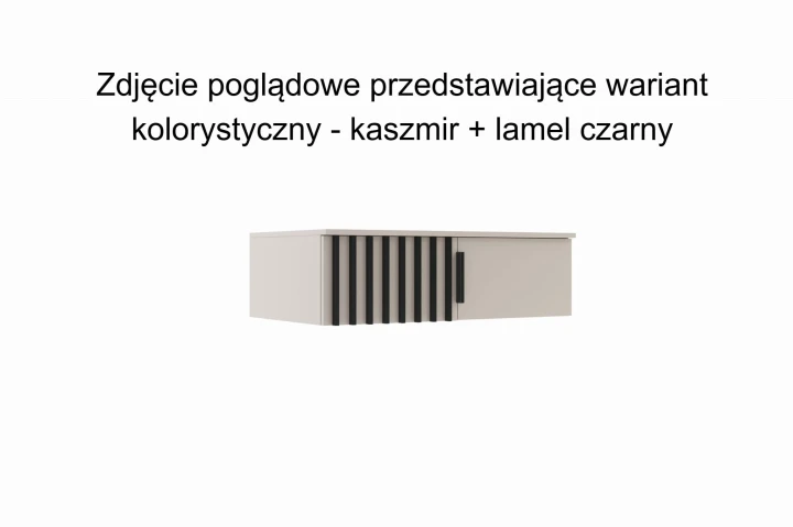 NADSTAWKA TORINO 100.jpg