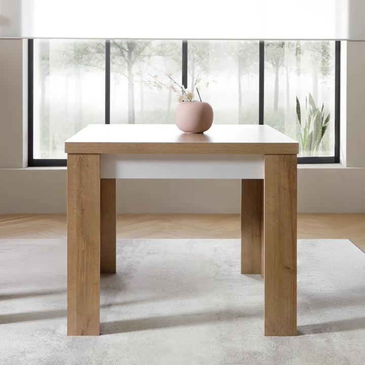 LYOT05 JASNY - 3.webp